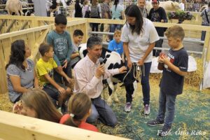 Tolna megye az OMÉK-on