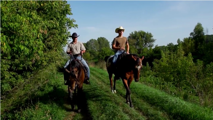 Sió, a lehetőségek tárháza