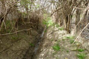 Burkolt árok vezeti ki a csapadékvizet Alsónyékről