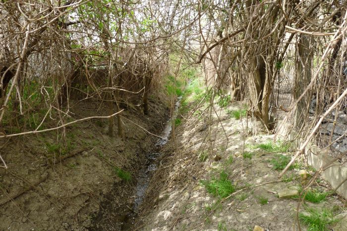 Burkolt árok vezeti ki a csapadékvizet Alsónyékről