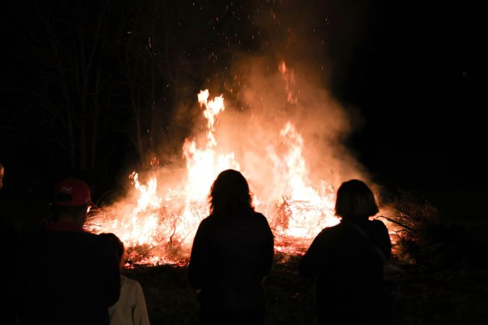 2f54ba7b-3335-4266-8126-5527a1ed8b82